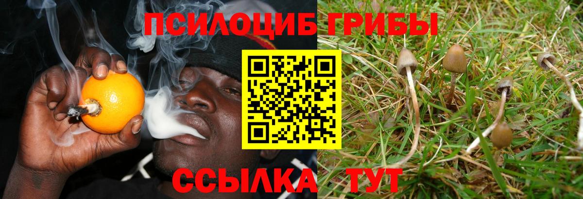 Псилоцибиновые грибы ЛСД  Вход с VPN  Хасавюрт 